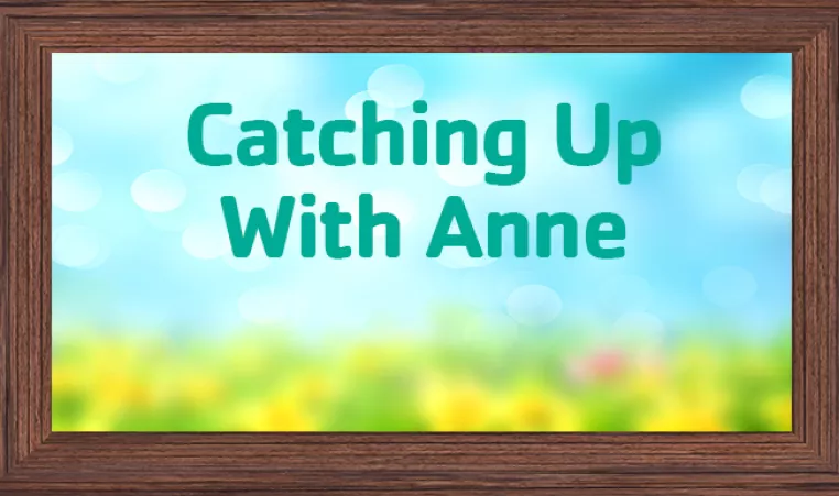Catching Up with Anne blog square
