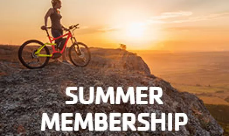 Summer Membership Icon
